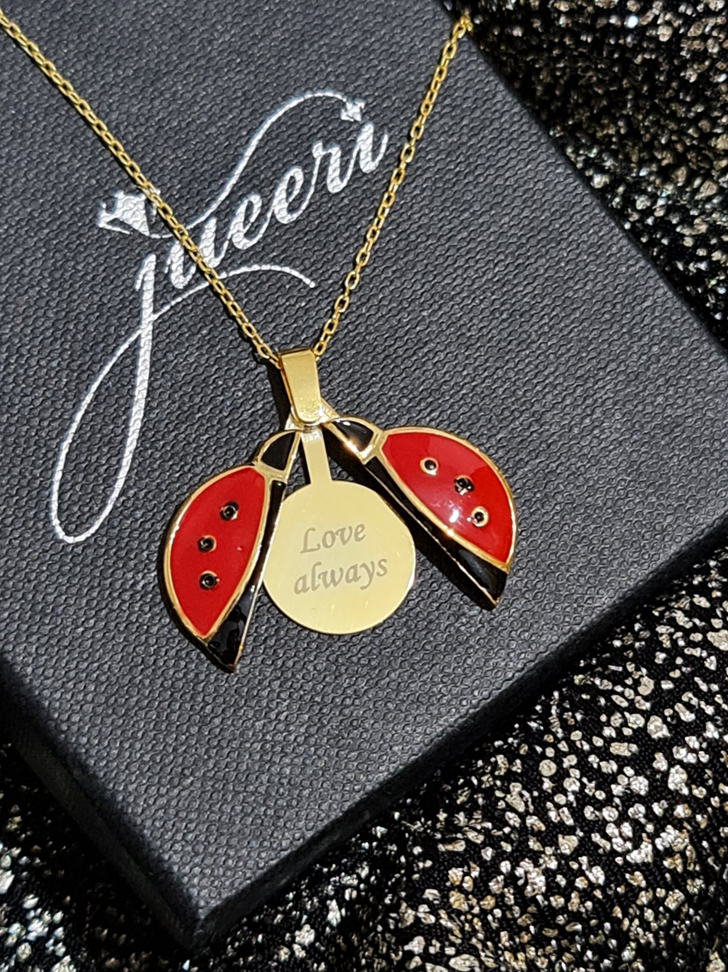 Custom Ladybug Secret Message Necklace