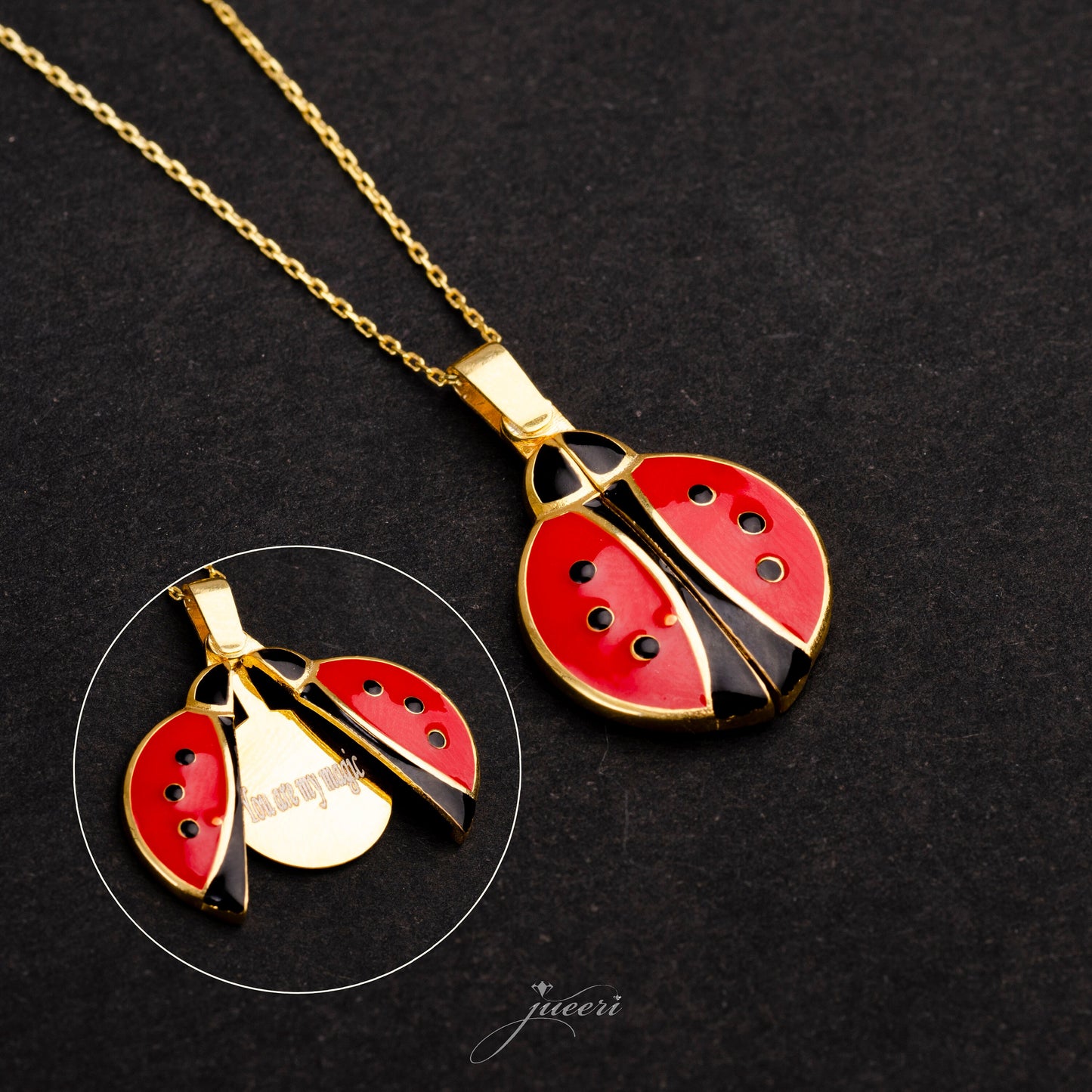 Custom Ladybug Secret Message Necklace