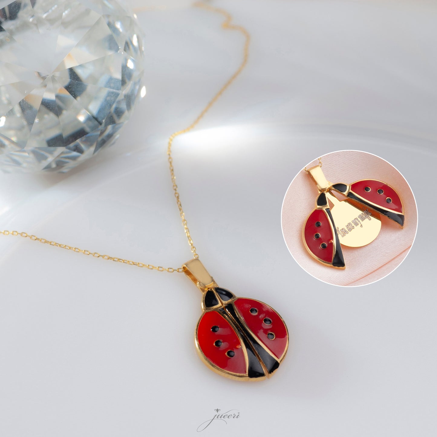 Custom Ladybug Secret Message Necklace